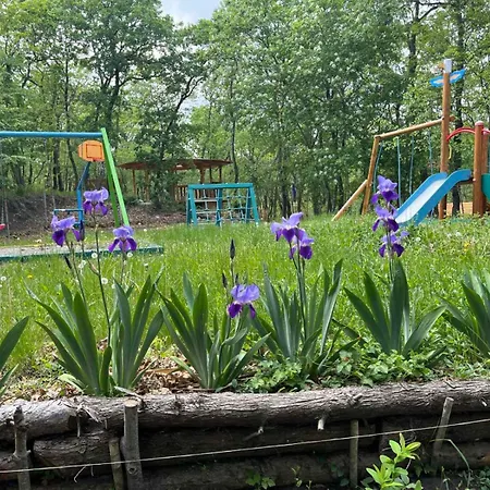 Park Bellevue 호텔 3*