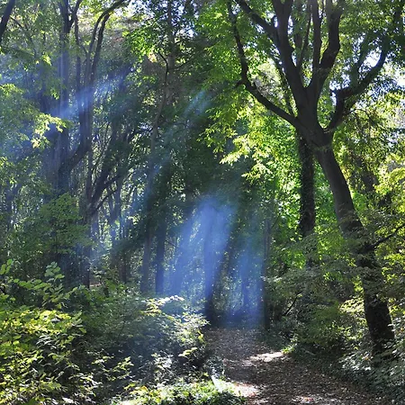 호텔 Park Bellevue 골든샌드