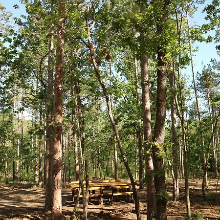 Park Bellevue Хотел Златни пясъци