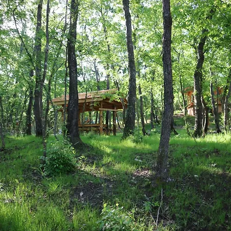 호텔 Park Bellevue