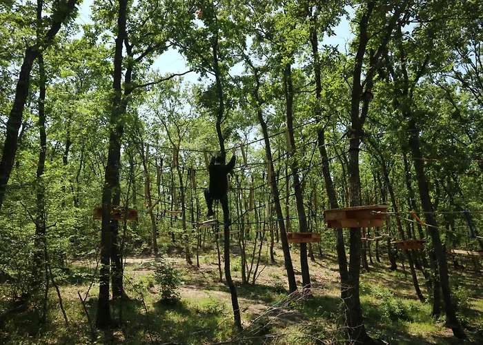 Park Bellevue Złote Piaski