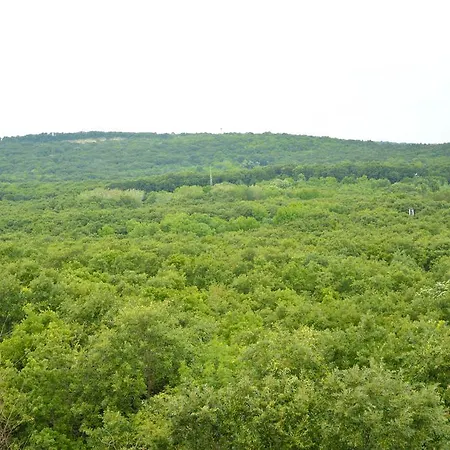 Szálloda Park Bellevue 3*