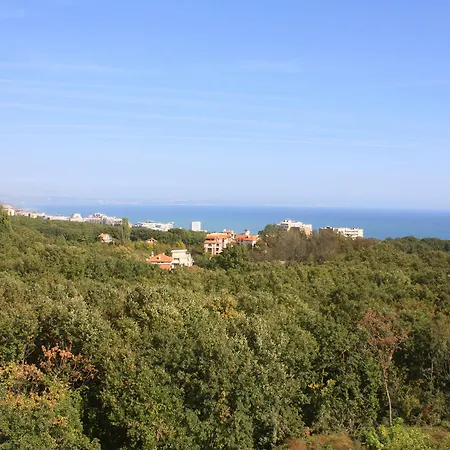 Park Bellevue Szálloda