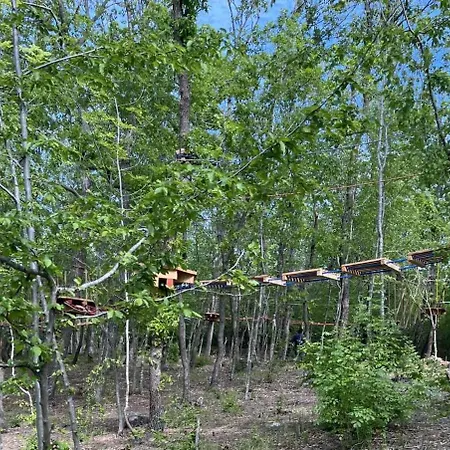 Park Bellevue Aranyhomok