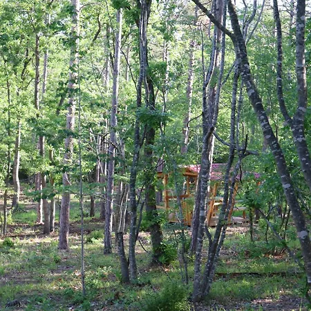 Park Bellevue 3* Aranyhomok