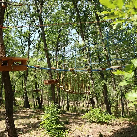 Park Bellevue Szálloda