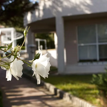 Park Bellevue 3*