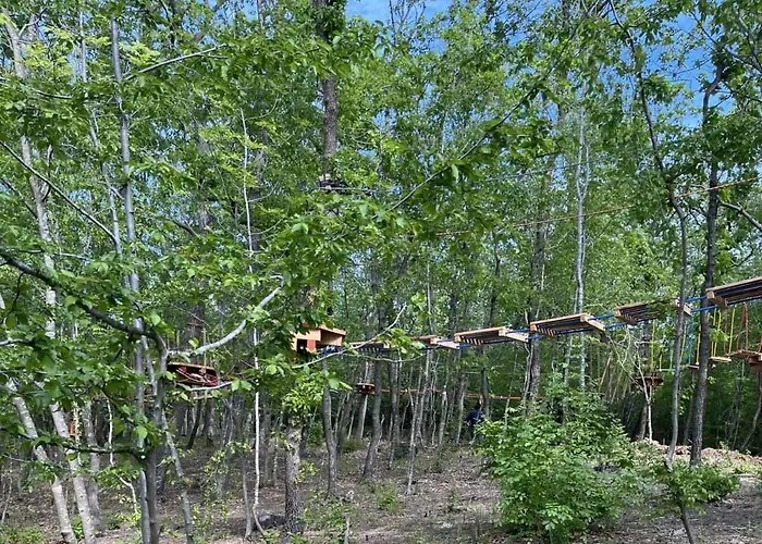 Park Bellevue Złote Piaski