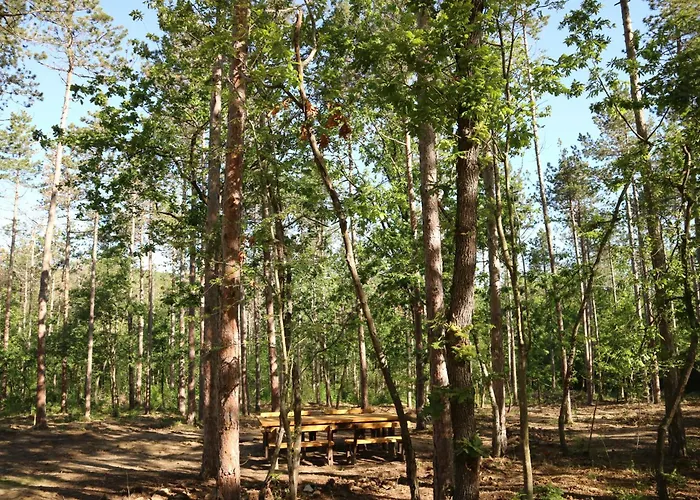 Park Bellevue Hotel Złote Piaski