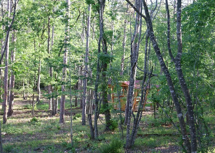 Park Bellevue 3* Złote Piaski